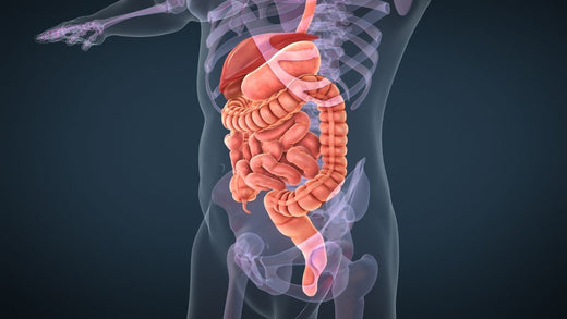 Metabolic Health 101: How Australians Can Improve Wellbeing and Energy