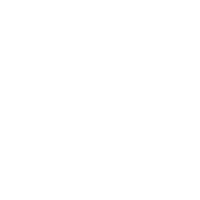 PROTEIN IS HARDER TO HIT